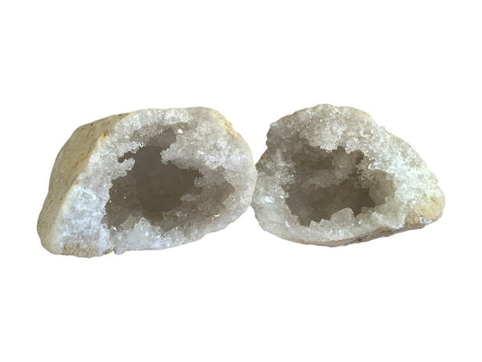 GEODA AZUCARADA