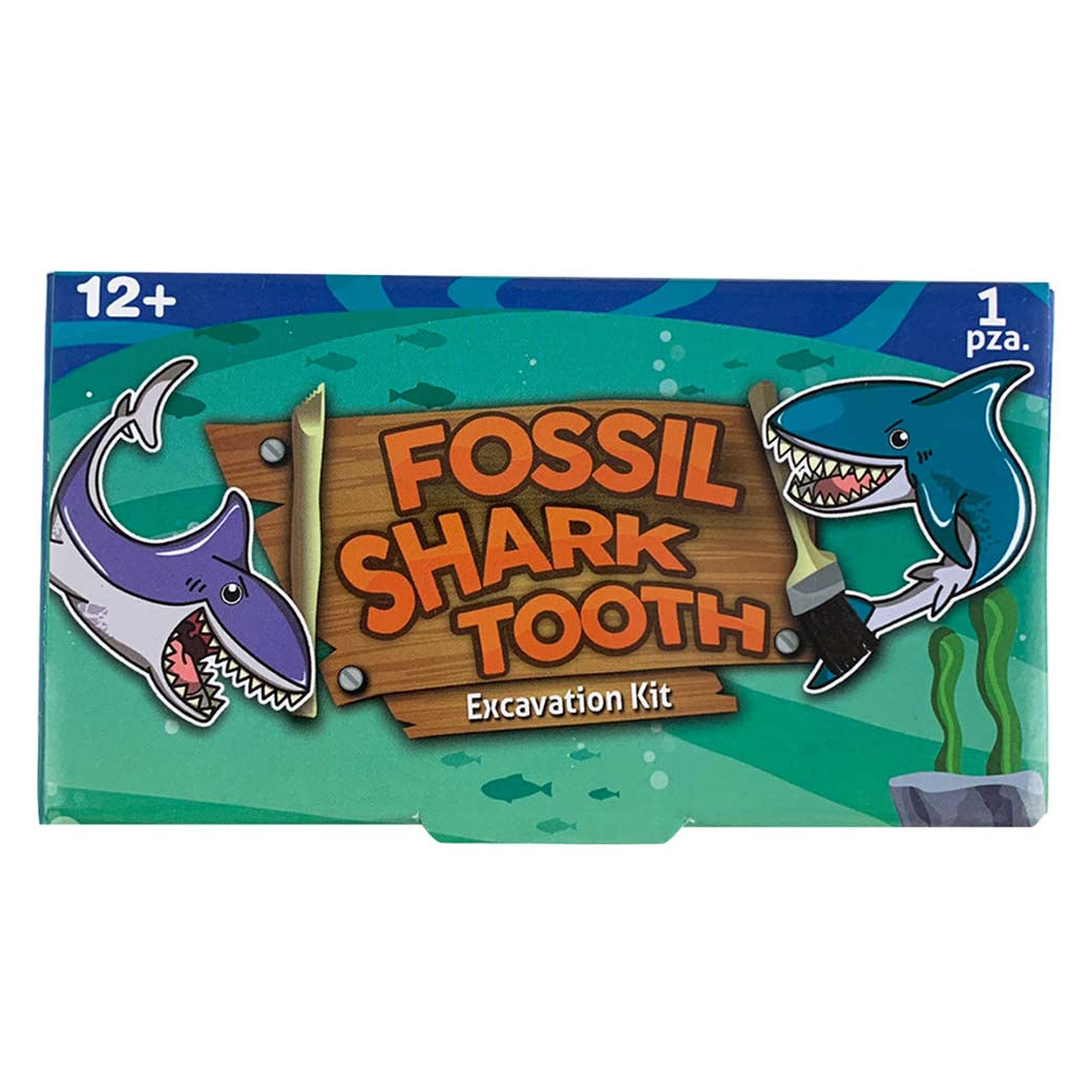 Fósil por Descubrir Kit de Excavación - fósil natural