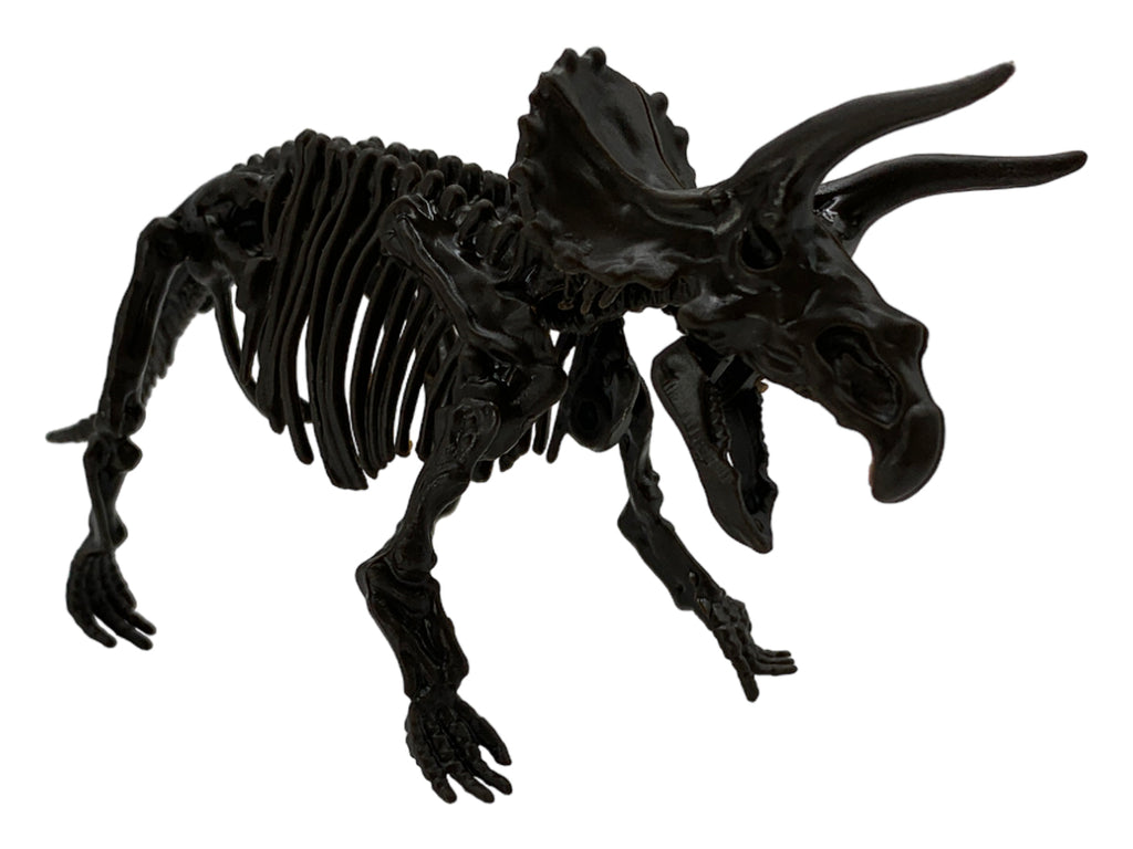 Esqueleto Armable Triceratops - detalle de textura y color