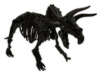 Esqueleto Armable Triceratops - detalle de textura y color