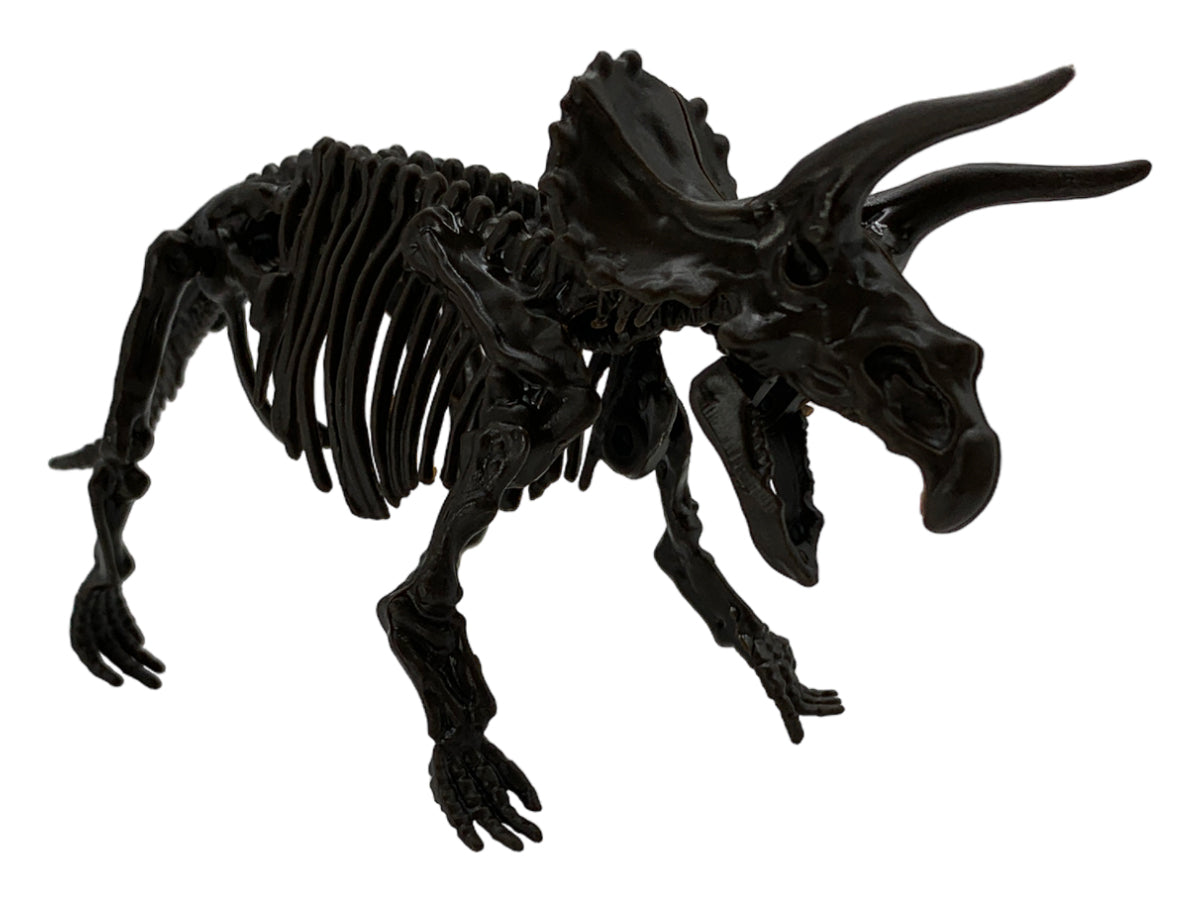 Esqueleto Armable Triceratops - detalle de textura y color