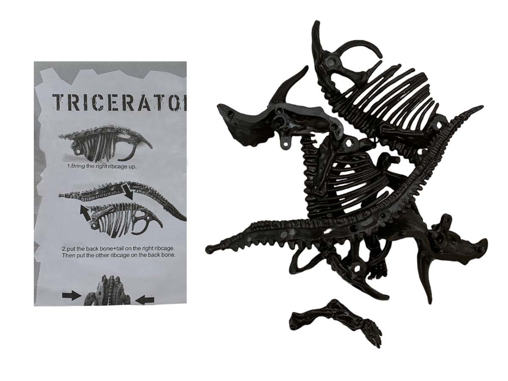 Esqueleto Armable Triceratops - vista lateral