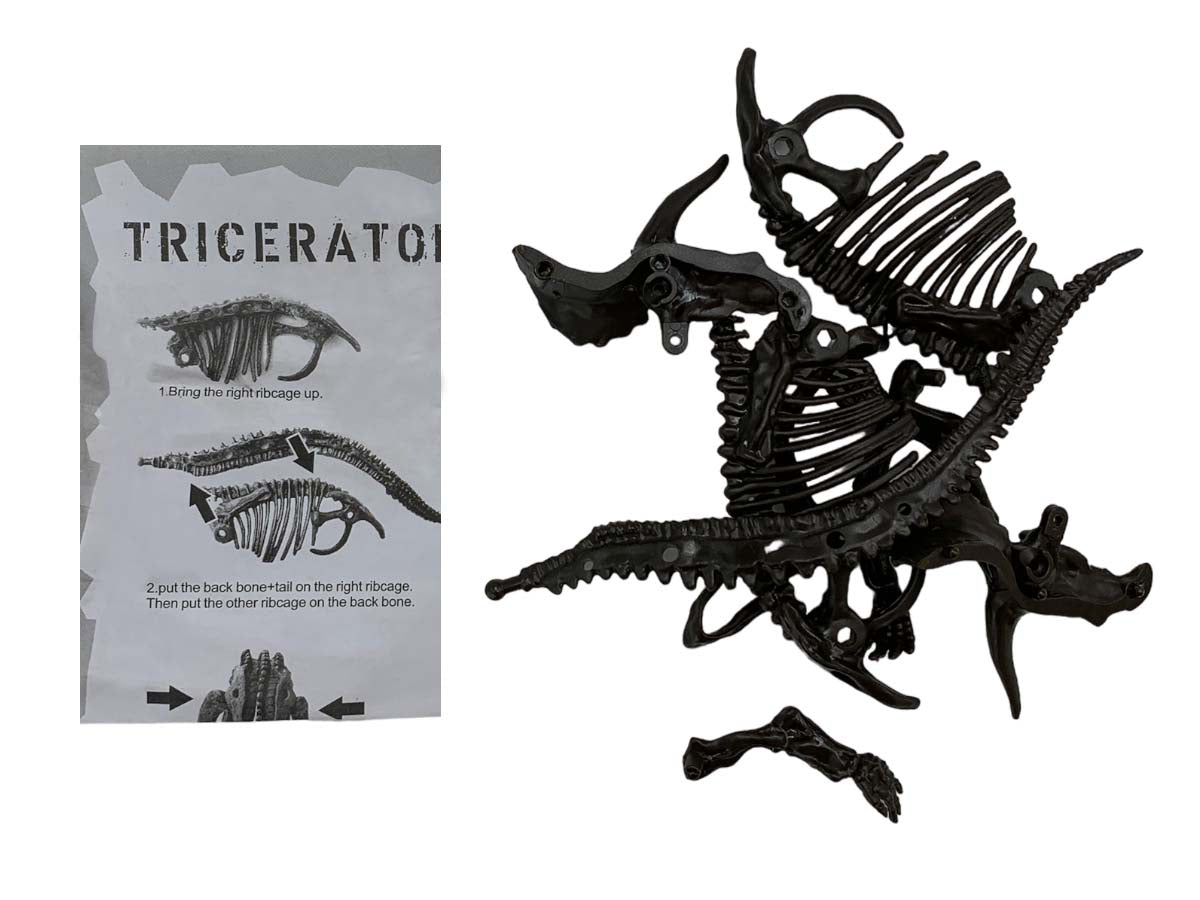 Esqueleto Armable Triceratops - vista lateral