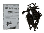 Esqueleto Armable Braquiosaurio - vista lateral