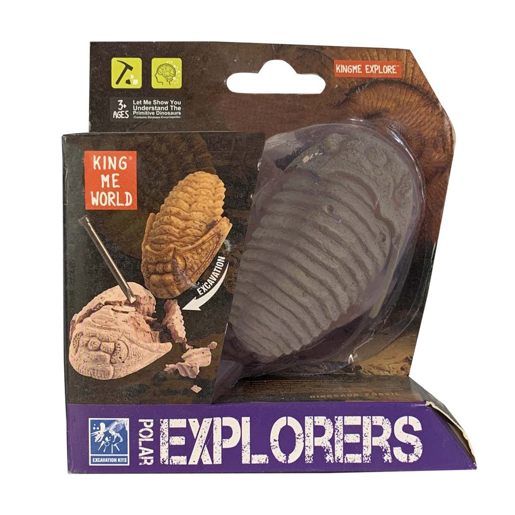 Kit Excavación Trilobite Fósil - fósil natural