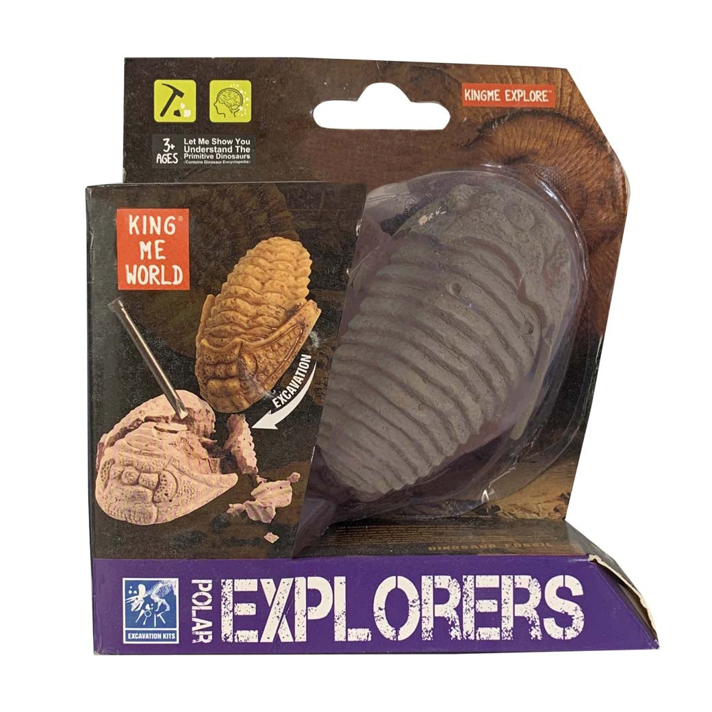 Kit Excavación Trilobite Fósil - fósil natural