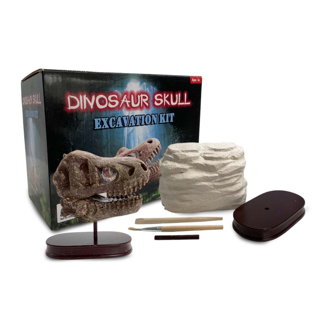 Cráneo De Dinosaurio Kit De Excavación - Vista 1 | MineraliA