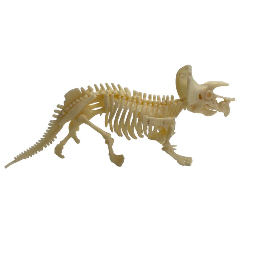 Kit Excavación Esqueleto Triceratops - detalle de textura y color