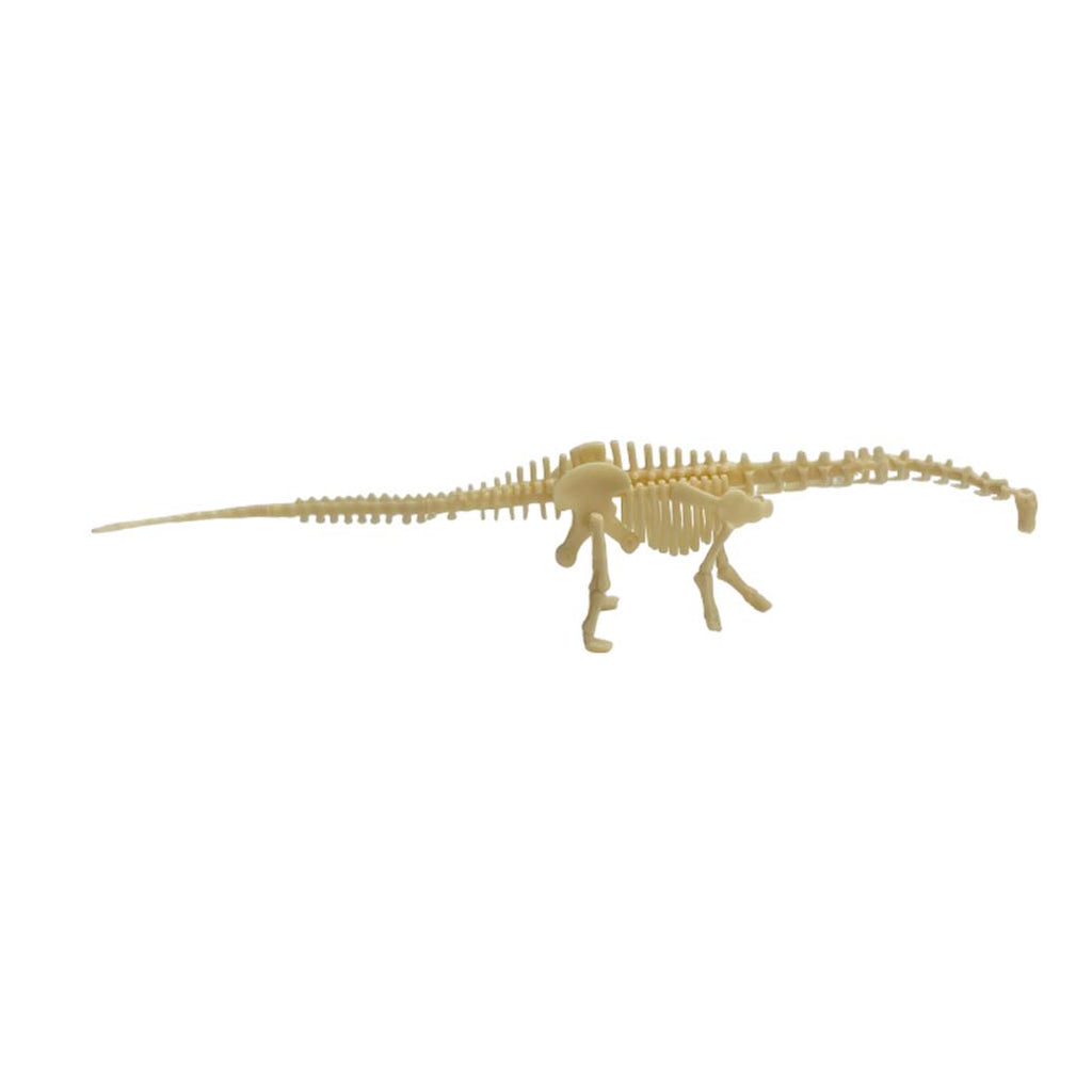 Kit Excavación Esqueleto Diplodocus - detalle de textura y color
