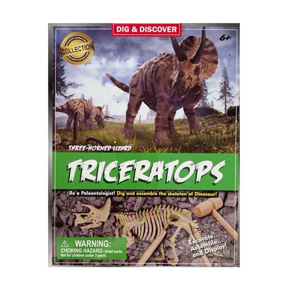 Kit Excavación Esqueleto Triceratops - modelo armable