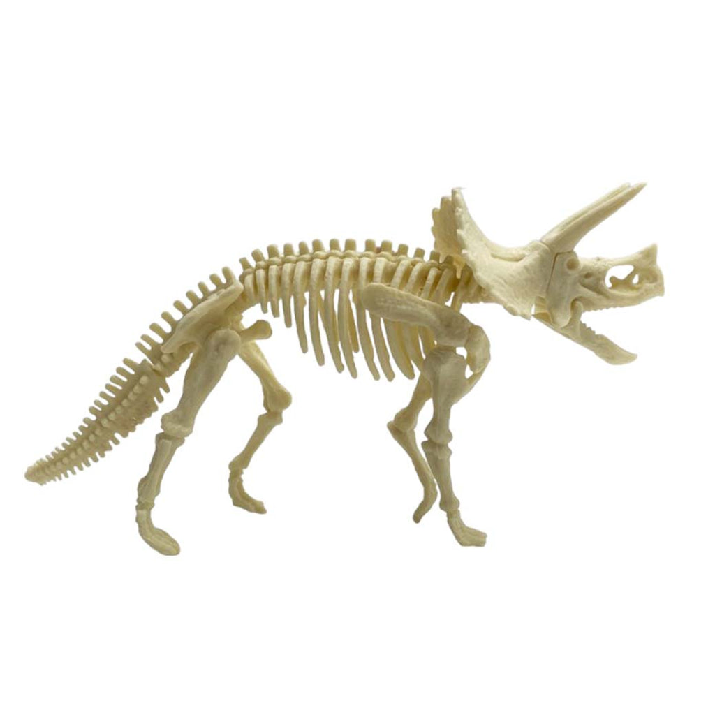 Kit Excavación Esqueleto Triceratops - detalle de textura y color