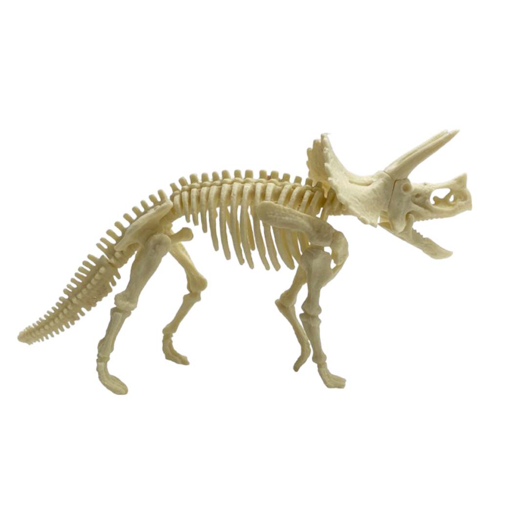 Kit Excavación Esqueleto Triceratops - detalle de textura y color