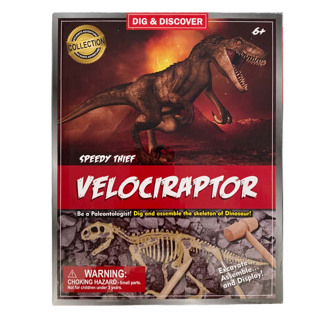 Kit Excavación Esqueleto Velociraptor - modelo armable
