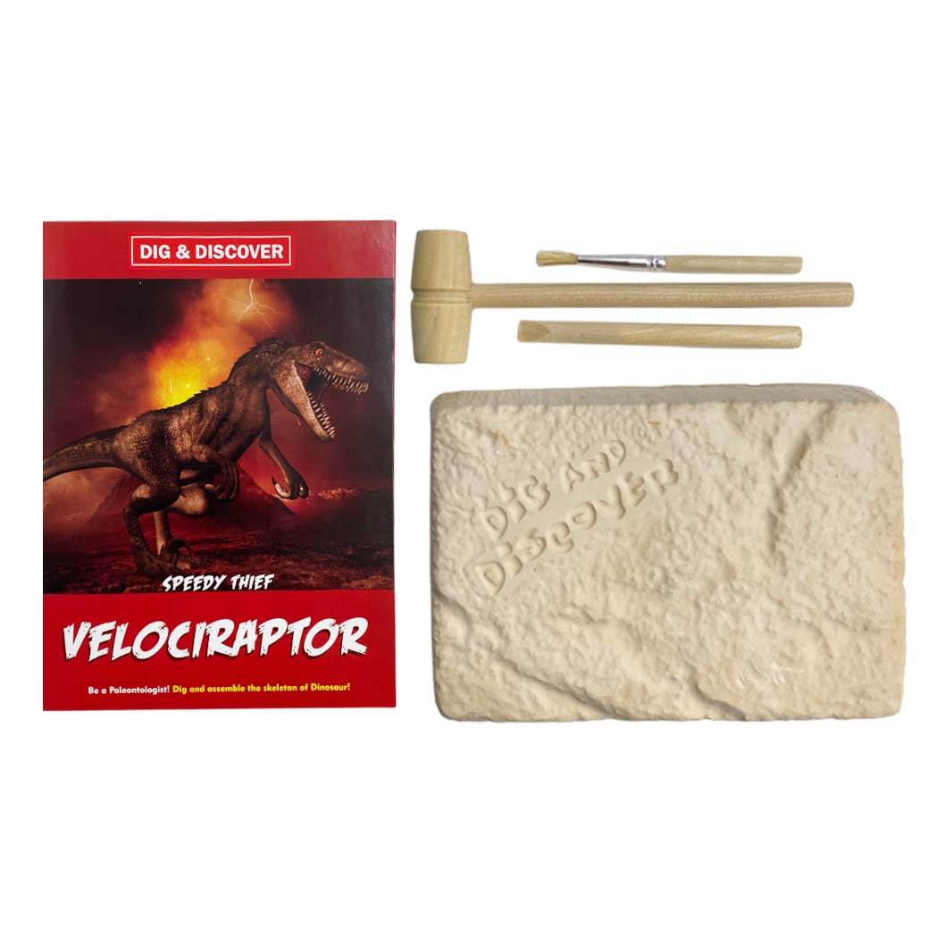 Kit Excavación Esqueleto Velociraptor - vista lateral