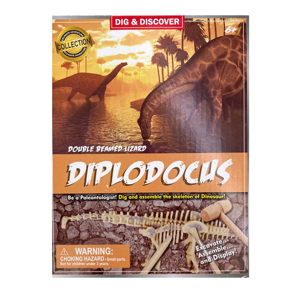 Kit Excavación Esqueleto Diplodocus - modelo armable