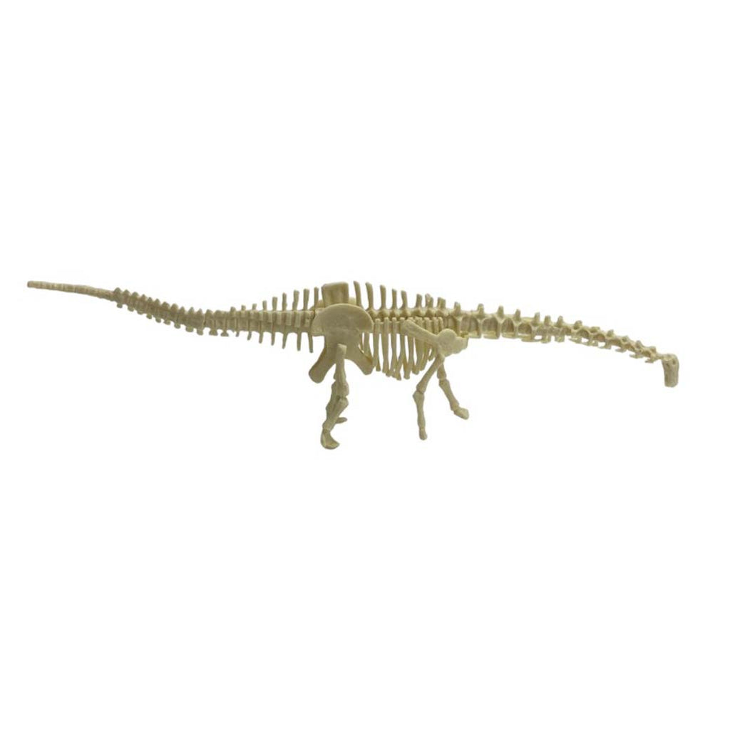 Kit Excavación Esqueleto Diplodocus - detalle de textura y color