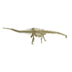 Kit Excavación Esqueleto Diplodocus - detalle de textura y color