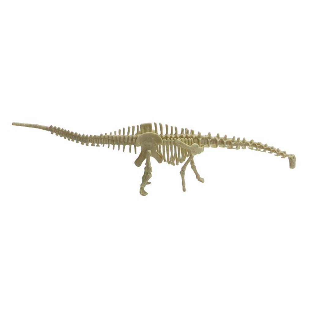 Kit Excavación Esqueleto Diplodocus - detalle de textura y color