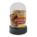 Cráneo de Dinosaurio Kit de Excavación - kit coleccionable
