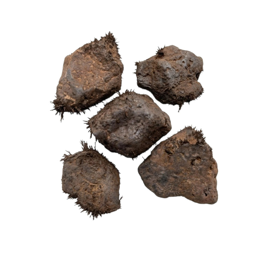 PAQUETE DE 5 ESPECIMENES DE MAGNETITA