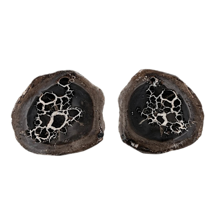 NODULO DE SEPTARIA PAR MEDIANO