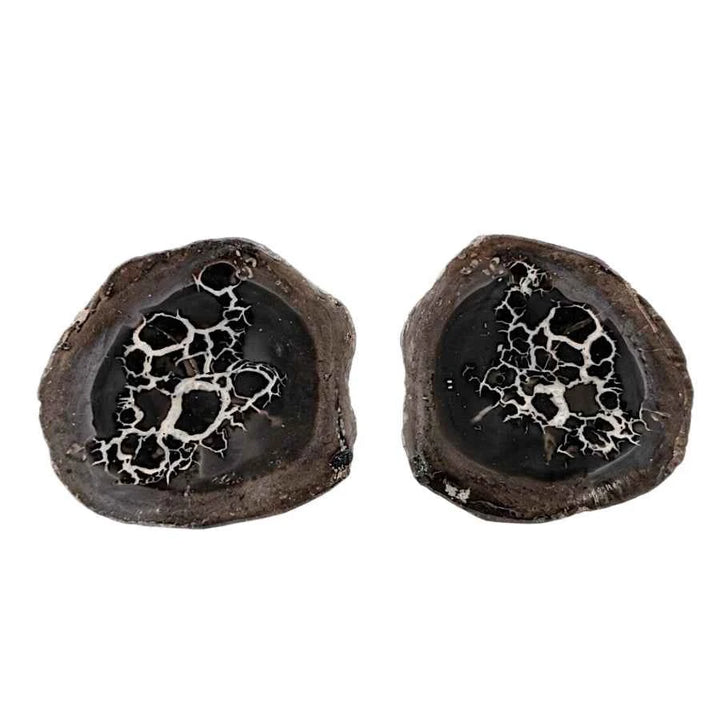 NODULO DE SEPTARIA PAR MEDIANO