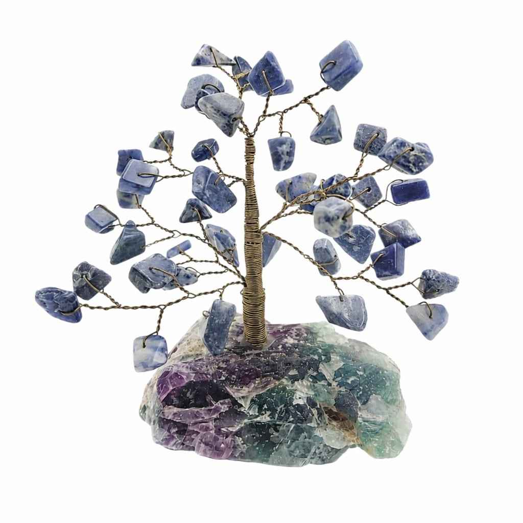 ÁRBOL DE SODALITA