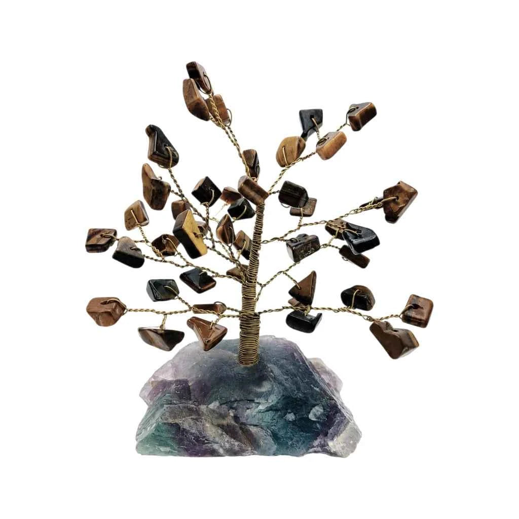 ÁRBOL DE OJO DE TIGRE