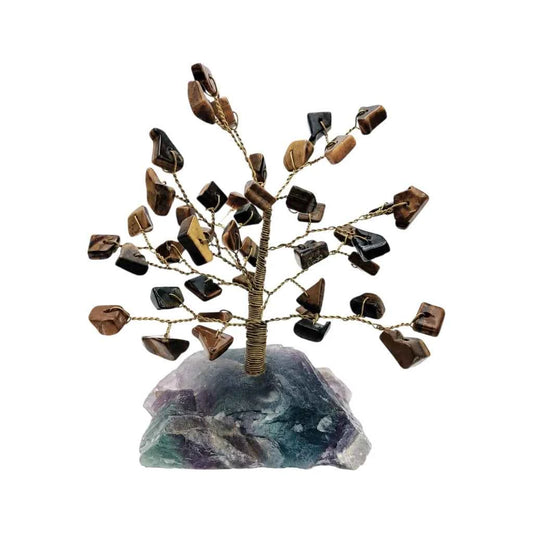 ÁRBOL DE OJO DE TIGRE