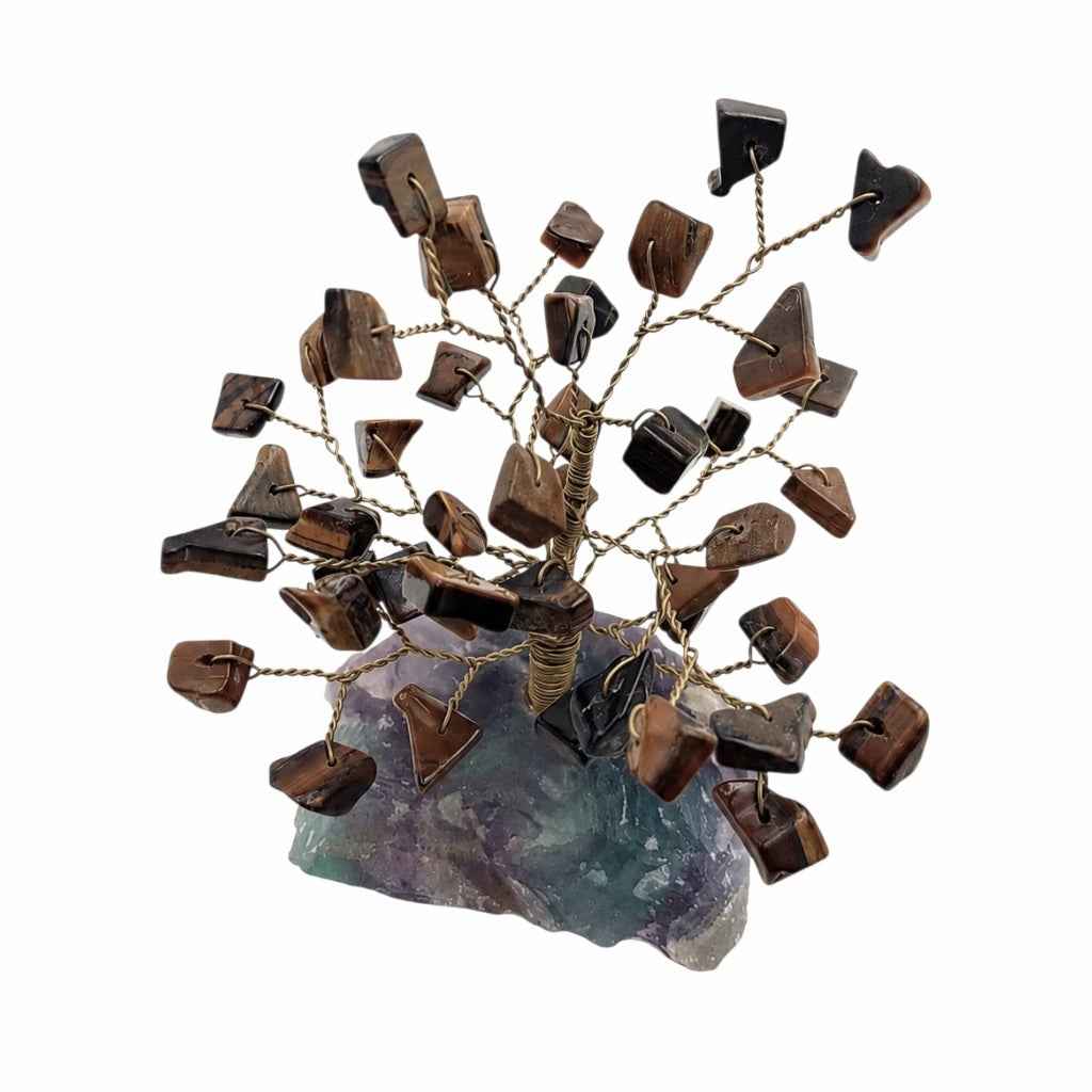 ÁRBOL DE OJO DE TIGRE