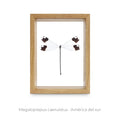Cuadro Libélula Megaloprepus - artículo decorativo