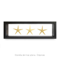 Cuadro de 3 Estrellas de Mar - artículo decorativo