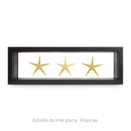 Cuadro de 3 Estrellas de Mar - artículo decorativo