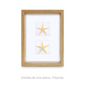Cuadro Estrellas de Mar - artículo decorativo