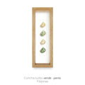 Cuadro con 4 Caracolas - artículo decorativo