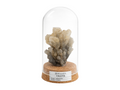 Calcita Mineral - espécimen natural