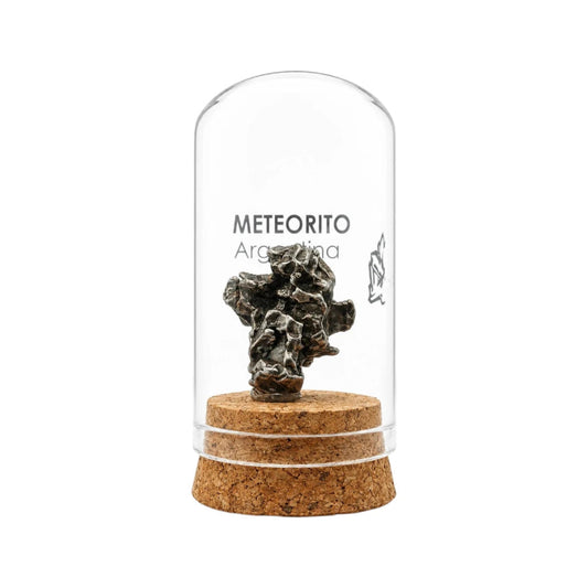Espécimen de Meteorito en Capelo de Cristal
