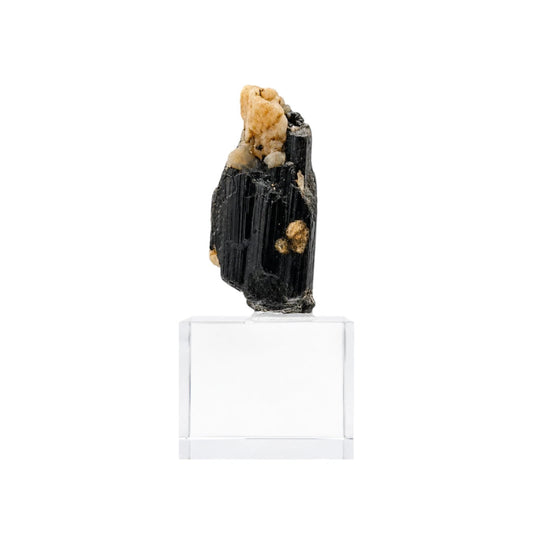 Espécimen de Turmalina Negra de Colección con Base de Acrílico