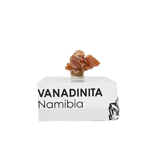 Espécimen de Vanadinita de Colección con Base de Acrílico
