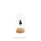 Capelo de Insecto Sagra - artículo decorativo