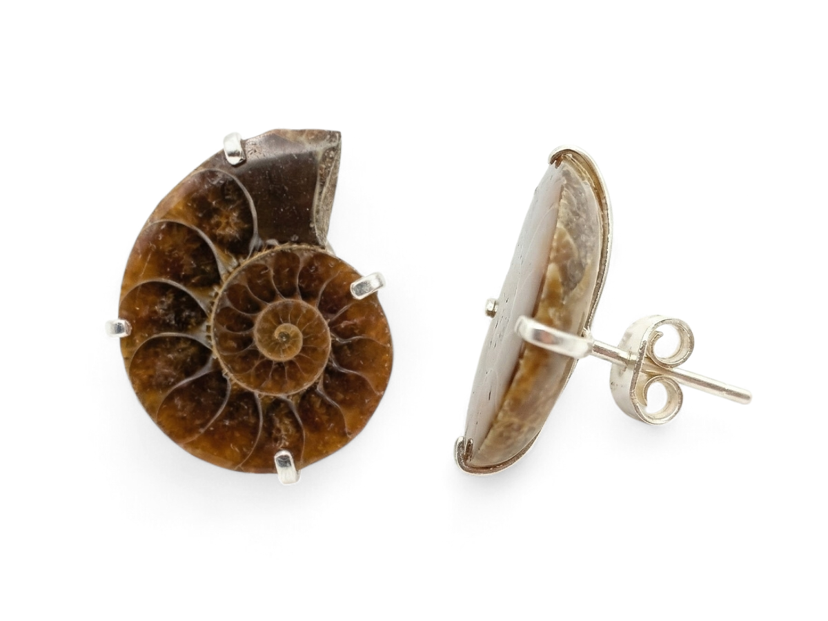 Aretes de Plata .925 con Amonite Fósil - fósil natural