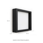 CUADRO DIENTE DE TIBURÓN FÓSIL