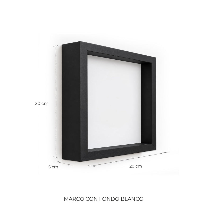 CUADRO DIENTE DE TIBURÓN FÓSIL