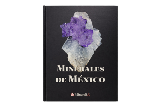 LIBRO MINERALES DE MEXICO