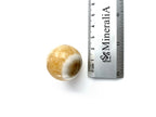 Esfera DE Calcita Amarilla Chica Pulida - Vista 2 | MineraliA