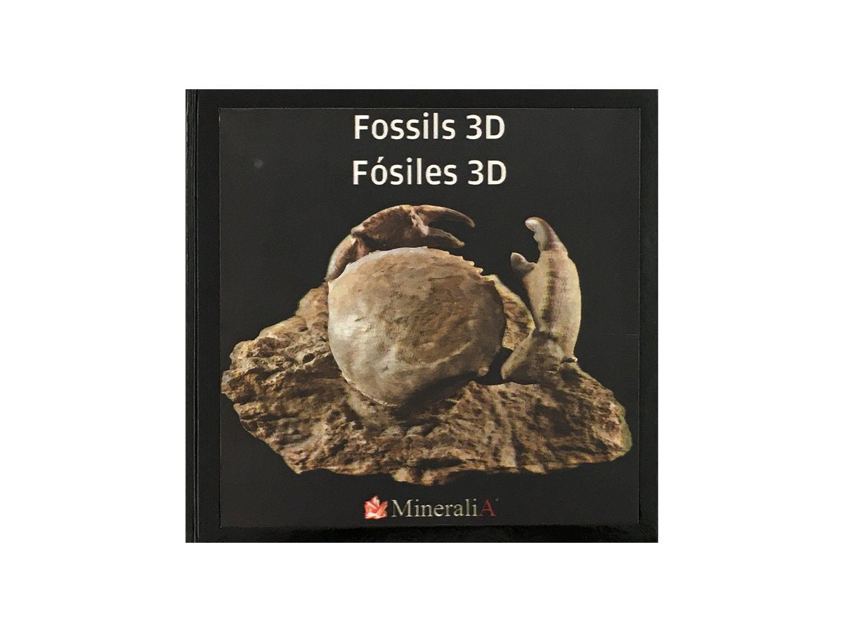 Libro De Fósiles 3D Con Lentes - Vista 1 | MineraliA