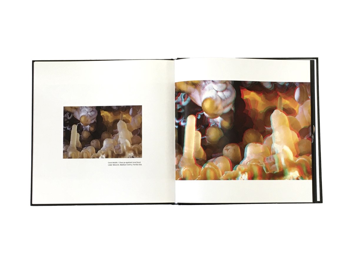 Libro De Fósiles 3D Con Lentes - Vista 3 | MineraliA