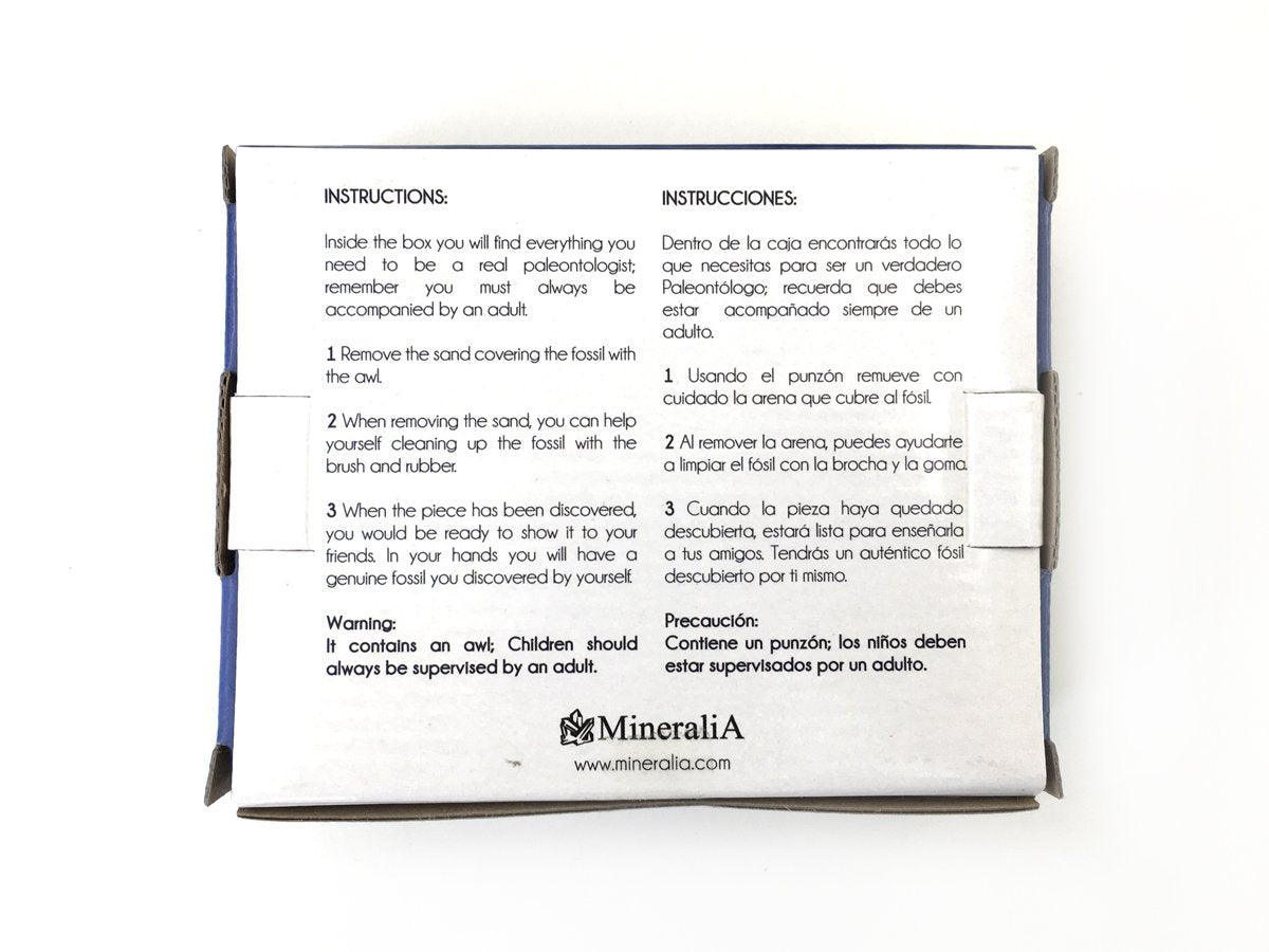 Pez Fósil Auténtico Kit De Excavación - Vista 2 | MineraliA