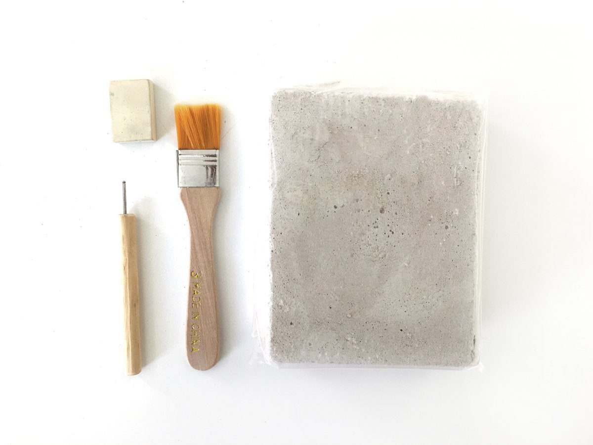 Pez Fósil Auténtico Kit De Excavación - Vista 5 | MineraliA