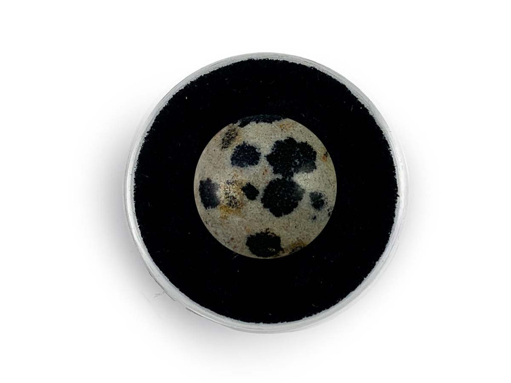 Cabujón de Jaspe Dálmata - cabujón pulido